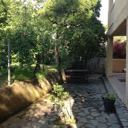 Duplex Et Rez De Jardin Les Orangers