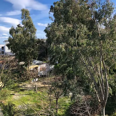 Duplex Et Rez De Jardin Les Orangers アパート San-Martino-di-Lota