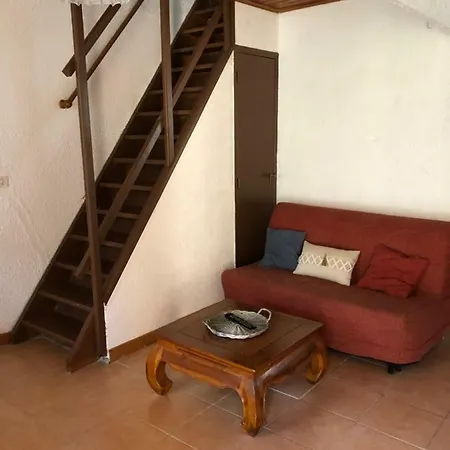 Duplex Et Rez De Jardin Les Orangers *